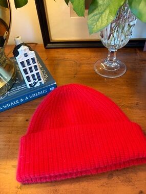 Aritzia Cashmere Cuff Beanie